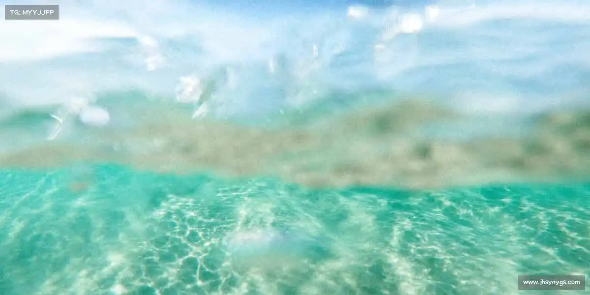 为什么选择我们